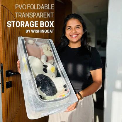 Transparent Storage Box Shoe Cabinet